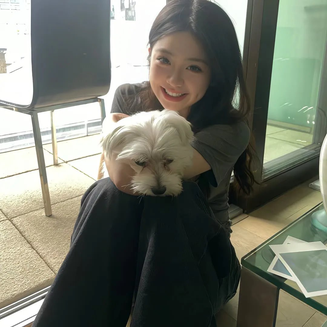 遗失的小美好之谎言